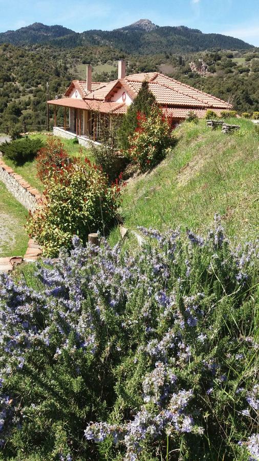 Отель Agropoli Nimfasia Экстерьер фото